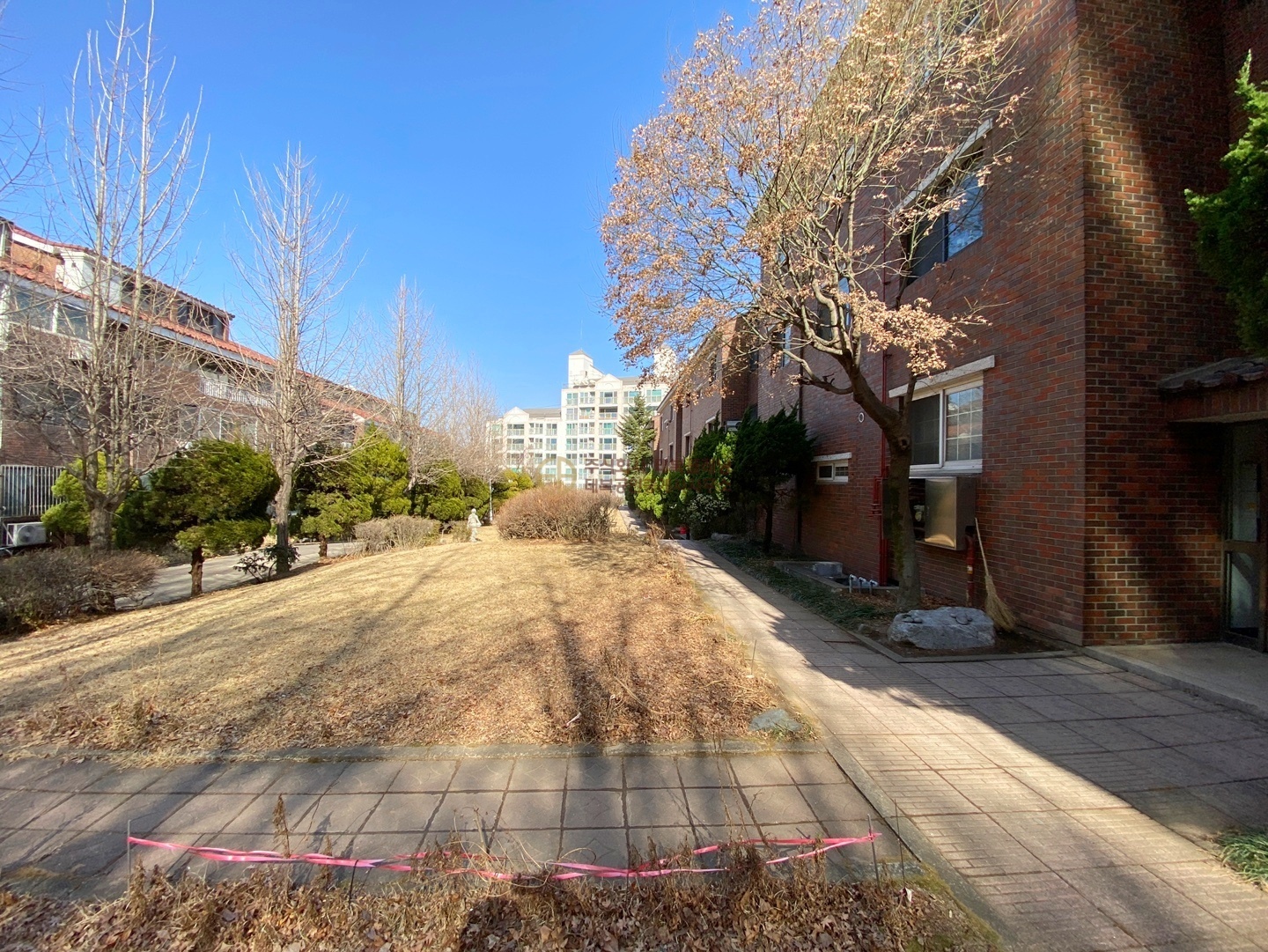 이미지명