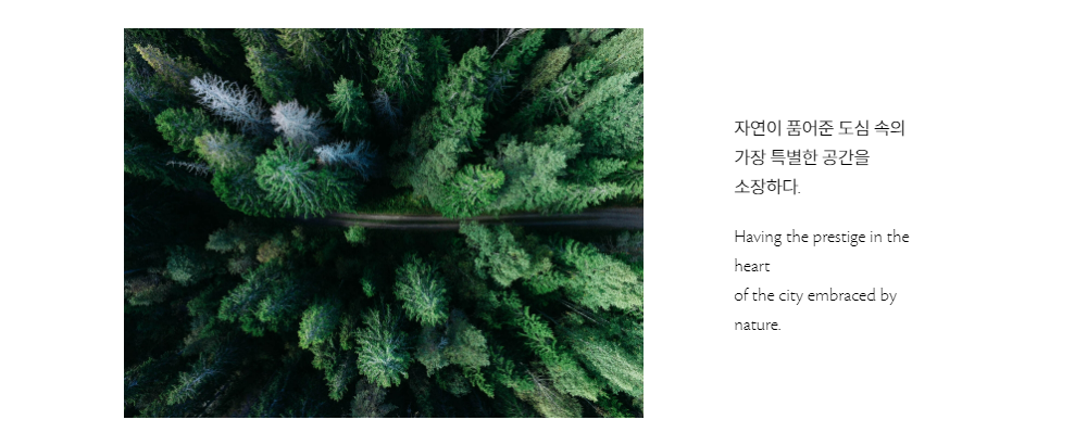 이미지명